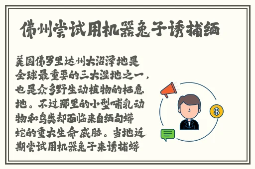 产子岛每周7天都可以生产全集动画